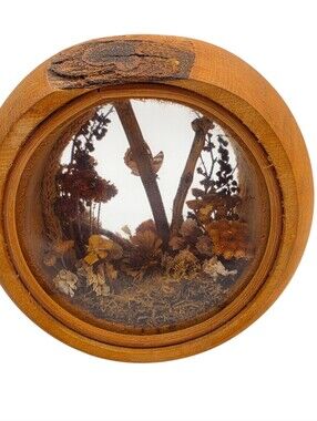 vintage dried flower and preserved butterfly diorama